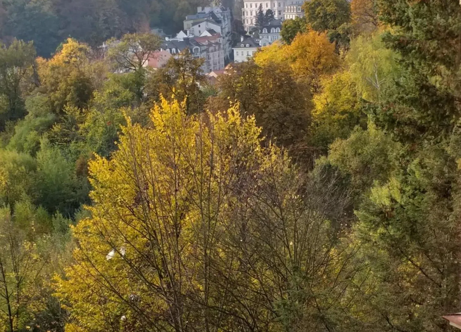 Apartment Ap 5 Alice Near Springs - 4 Rooms Karlovy Vary